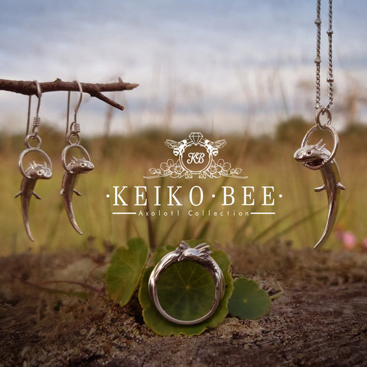 The Axolotl Collection