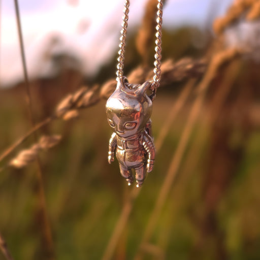 The Explorers Collection